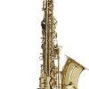 Stagg WS AS215S saksofon altowy (z futerałem)